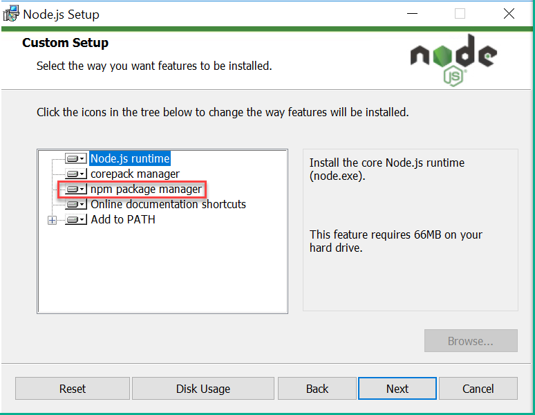 The wizard section to deploy the npm package manager